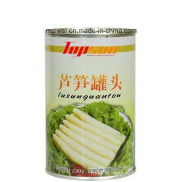 430g Canned Asparagus in Tin